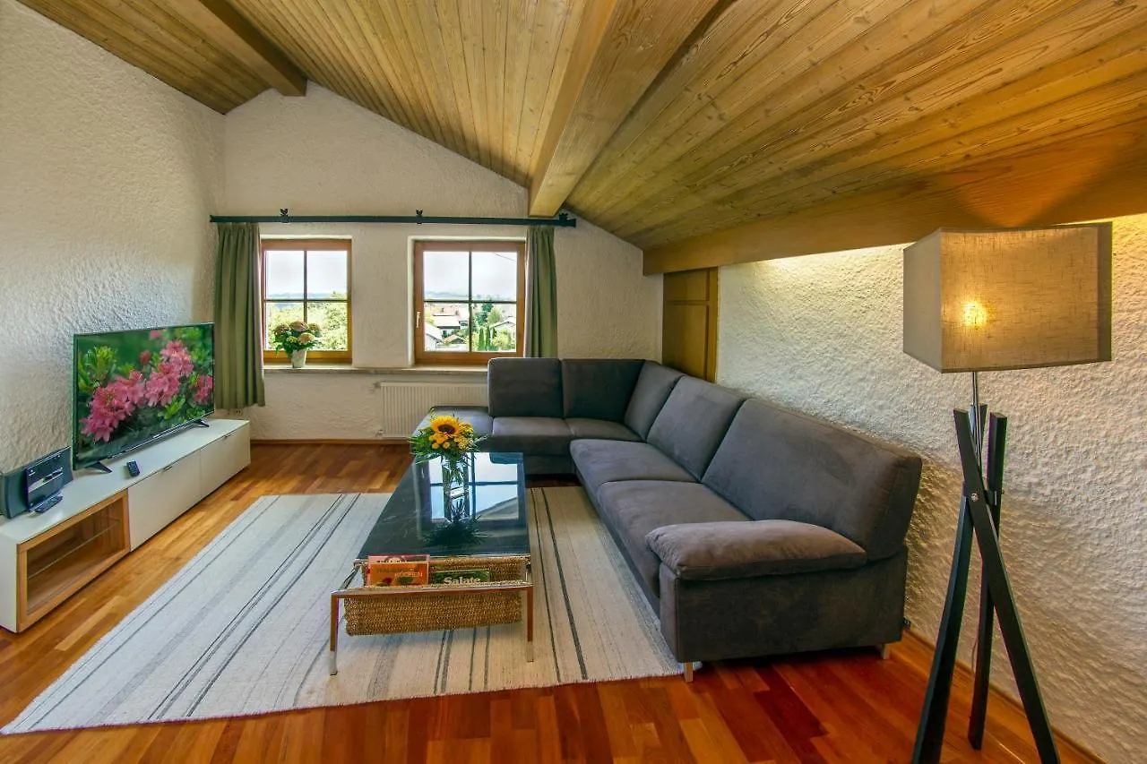 Appartement-Hotel-Allgayer Oy-Mittelberg Hotel